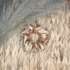 Kép 2/2 - Arany szatén scrunchie - Normál